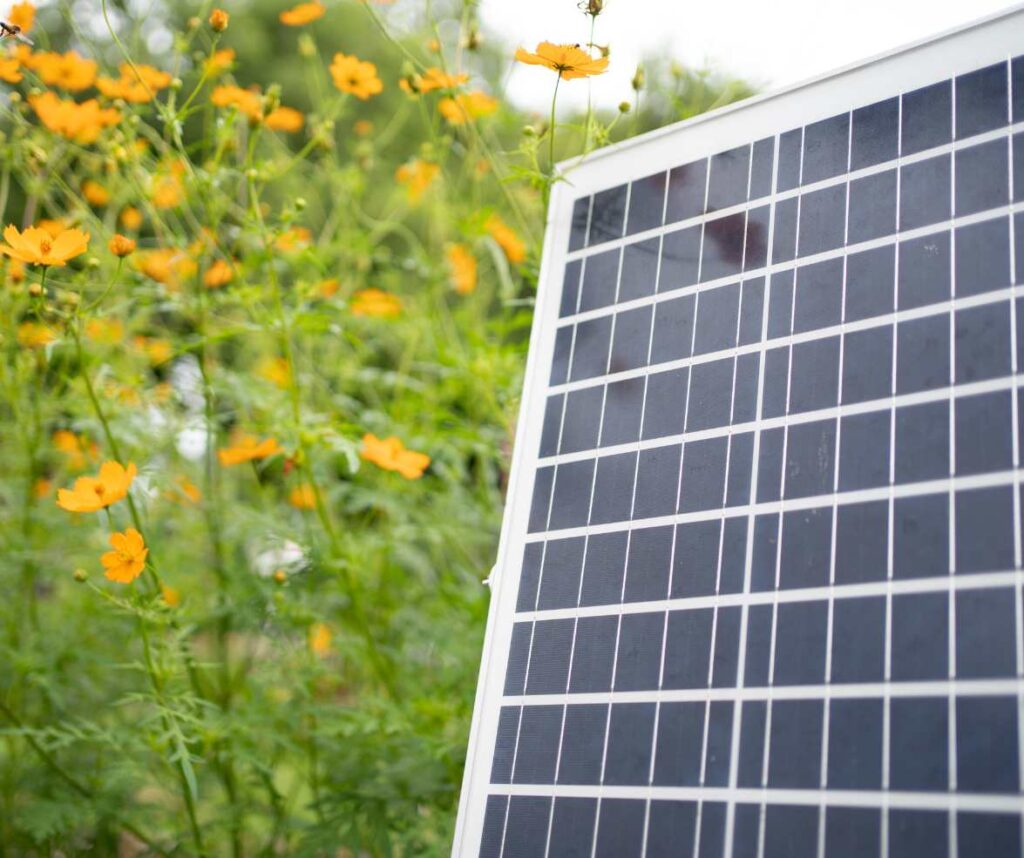 Nahaufnahme eines monokristallinen Solarmoduls mit Leistungskennzeichnung